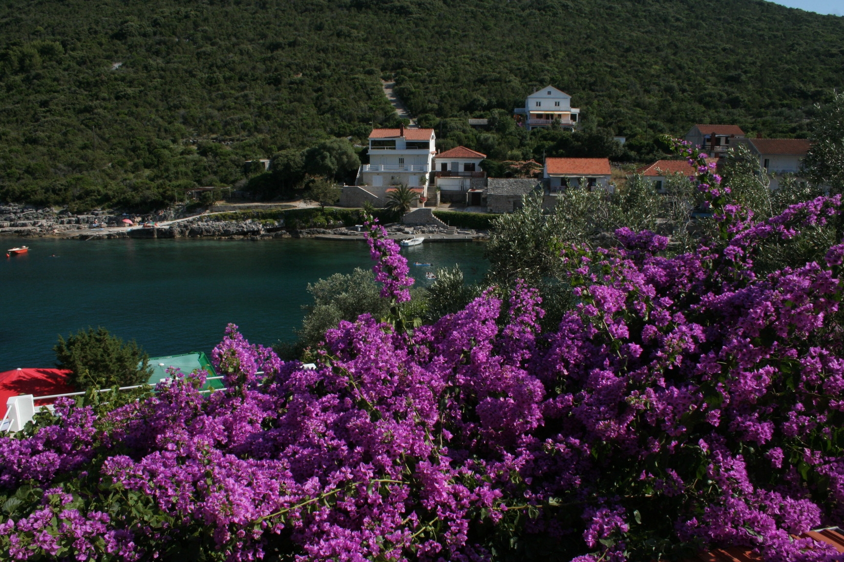 Two bedroom apartment near beach Cove Zarace (Gdinj), Hvar  A-b