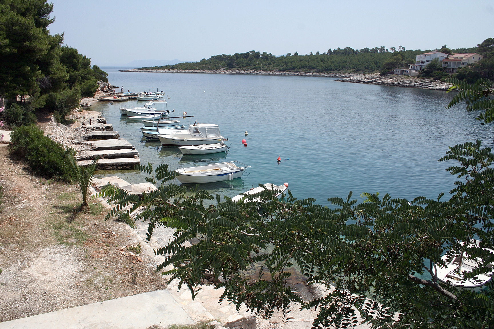 Top Hvar Basina Top Hvar Basina