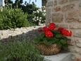 Vrboska, Terrace - view in the apartment, (pet friendly) and WiFi.