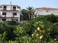 Balkon 1 - pohled Jelsa, Balkon 1 - pohled v ubytování typu apartment, domácí mazlíčci povoleni a WiFi.