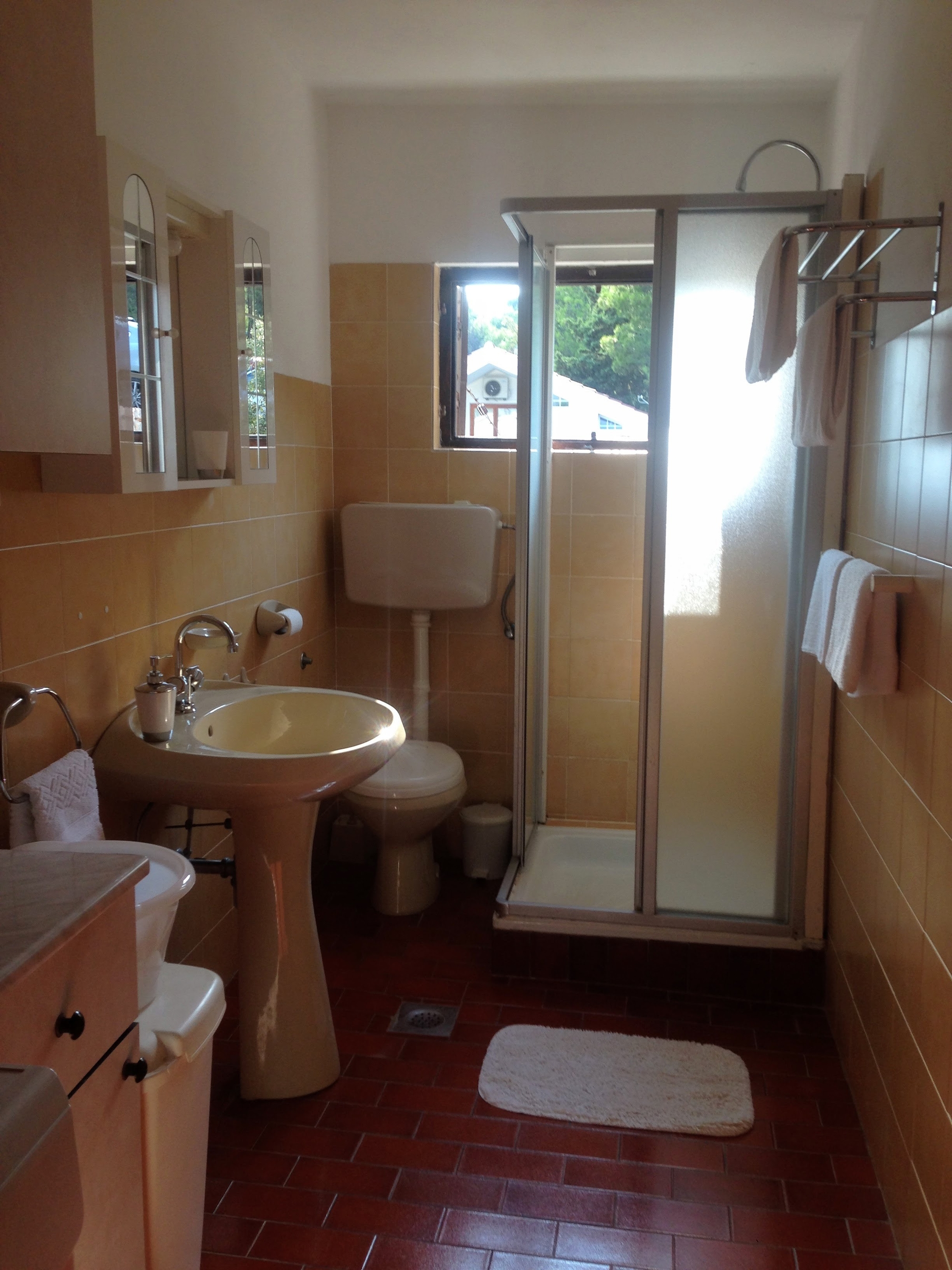 Three bedroom apartment with terrace and sea view Basina, Hvar  A-a