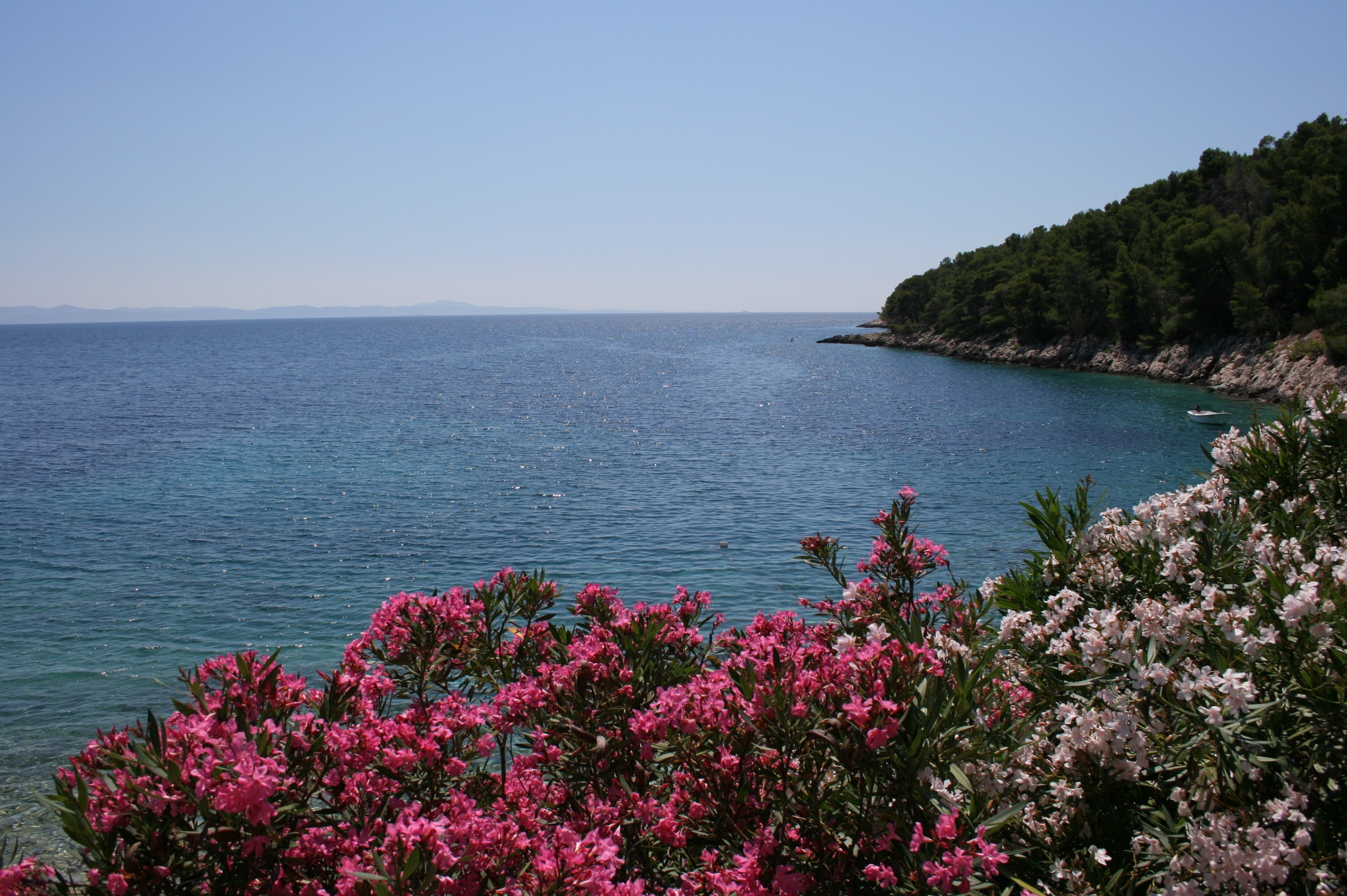 Two bedroom apartment near beach Cove Skozanje, Hvar  A-a