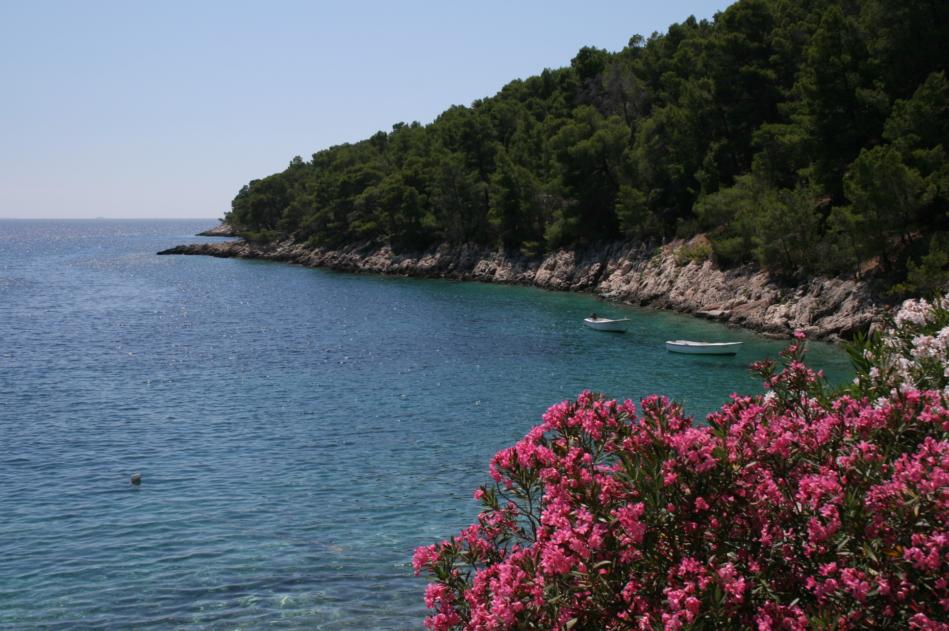 Two bedroom apartment near beach Cove Skozanje, Hvar  A-a