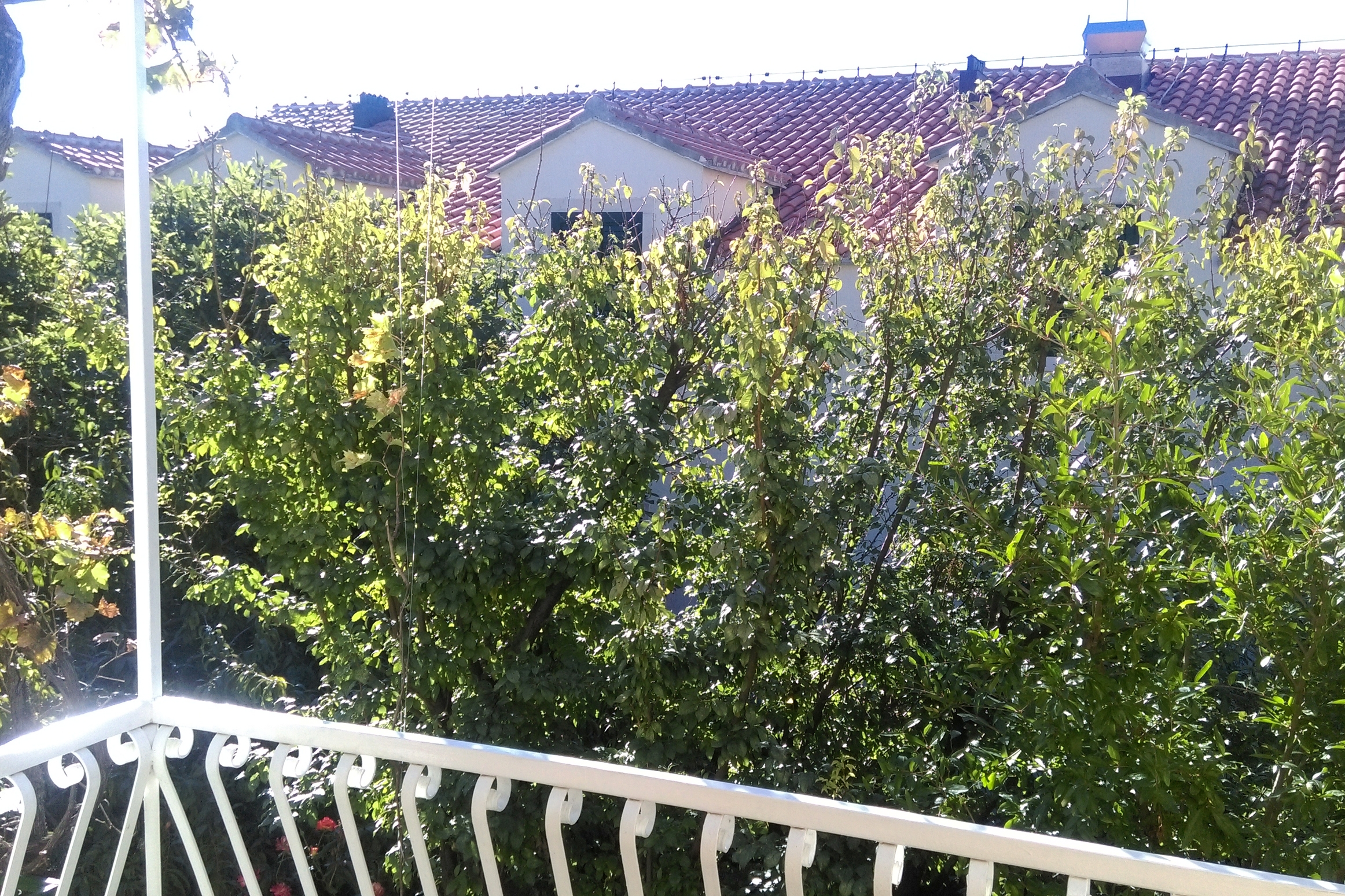 Two bedroom apartment with terrace Bol, Brač  A-a