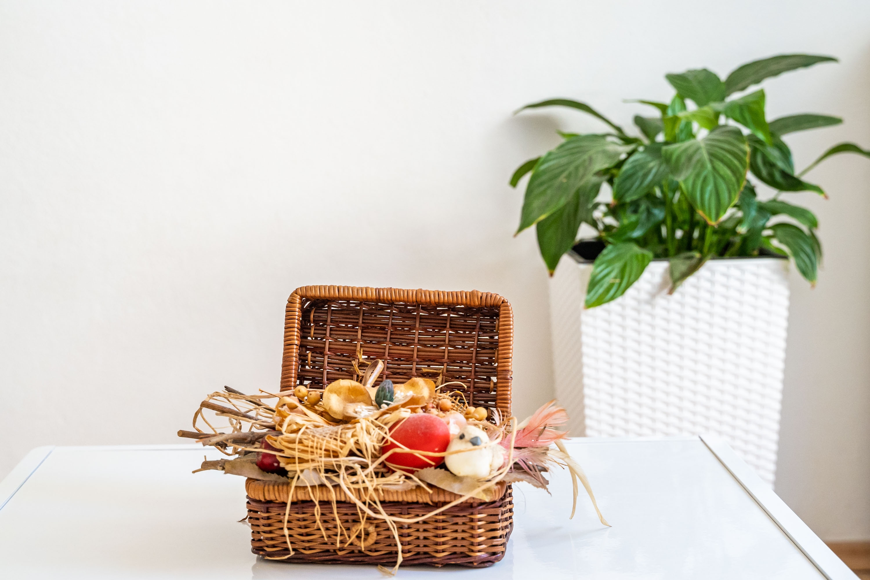 Top Dubrovnik Top Dubrovnik