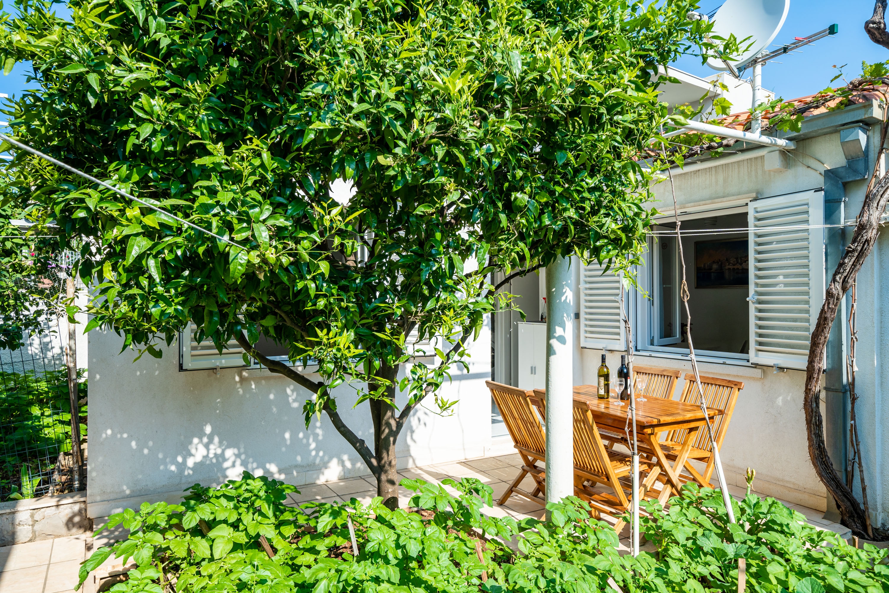 One bedroom apartment with terrace Dubrovnik (A-4675-a) One bedroom apartment with terrace Dubrovnik (A-4675-a)