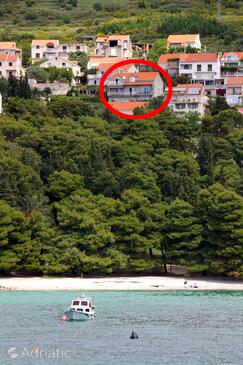 Property Mlini, Dubrovnik, Property 4772 - Apartments and Rooms with pebble beach.