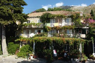 Property Mlini, Dubrovnik, Property 4780 - Apartments and Rooms near sea with pebble beach.