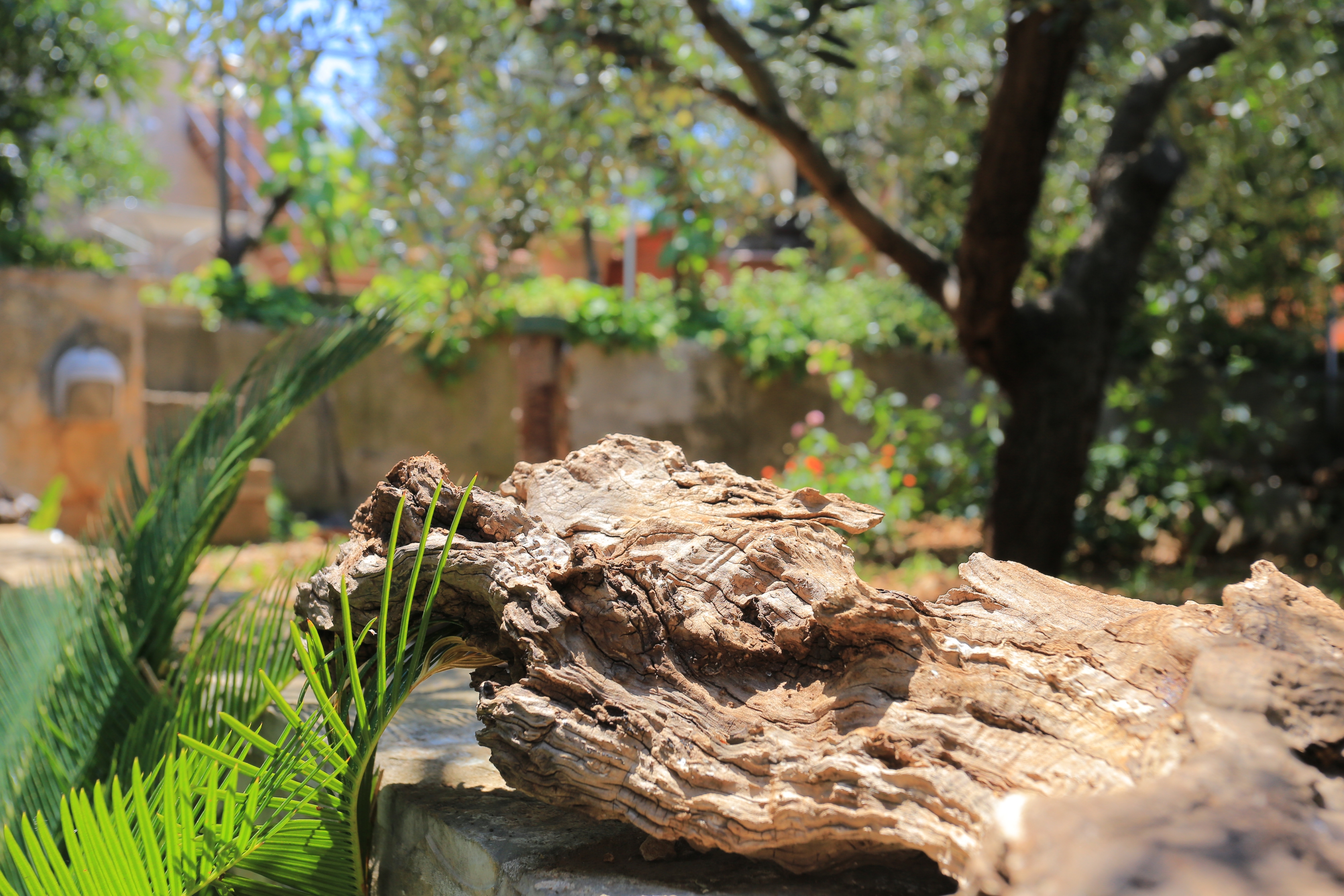 Three bedroom apartment with terrace Trogir  A-e