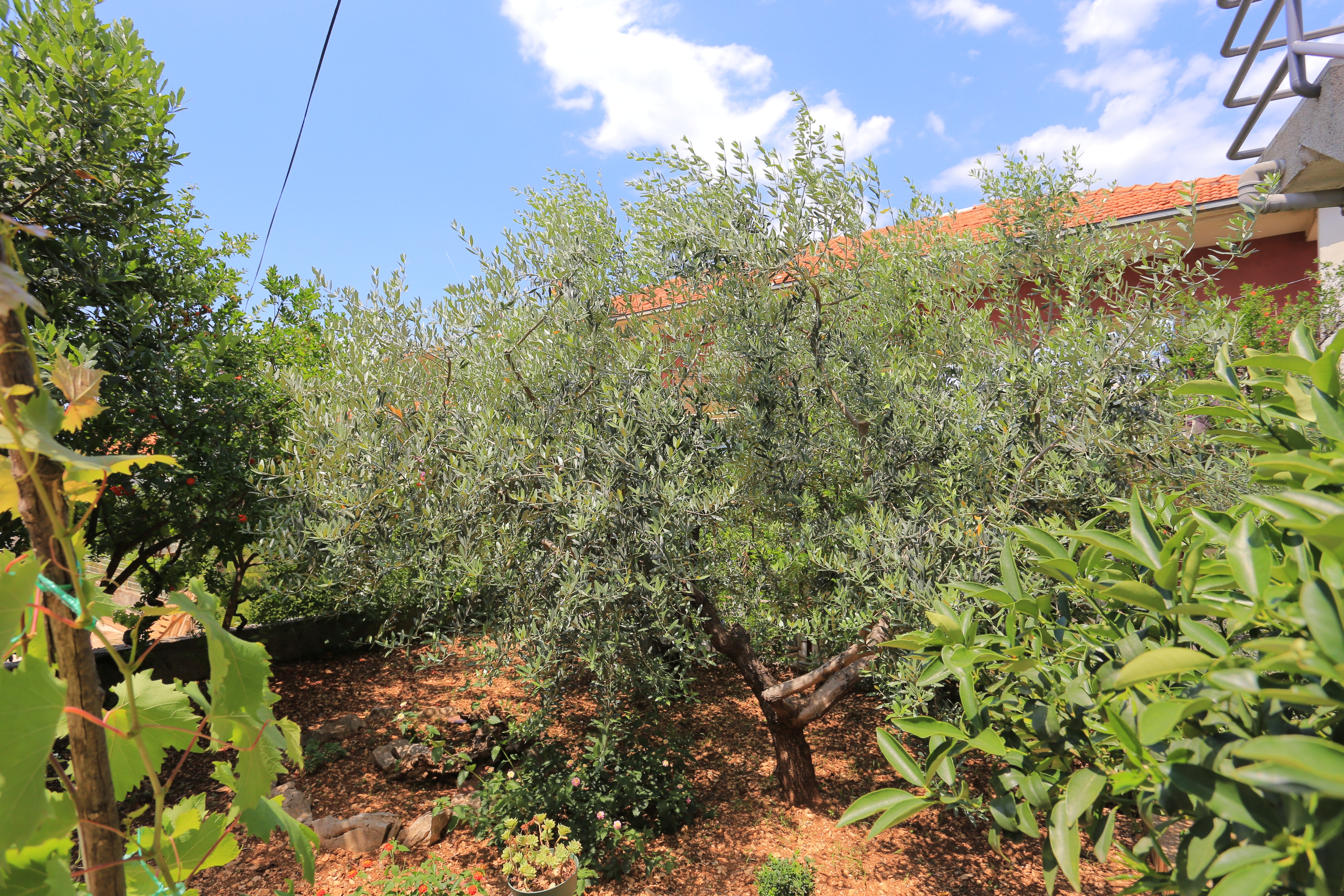 Three bedroom apartment with terrace Trogir  A-e