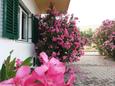 Grebaštica, Šibenik, Парковка 4866 - Апартаменты с галечным пляжем.