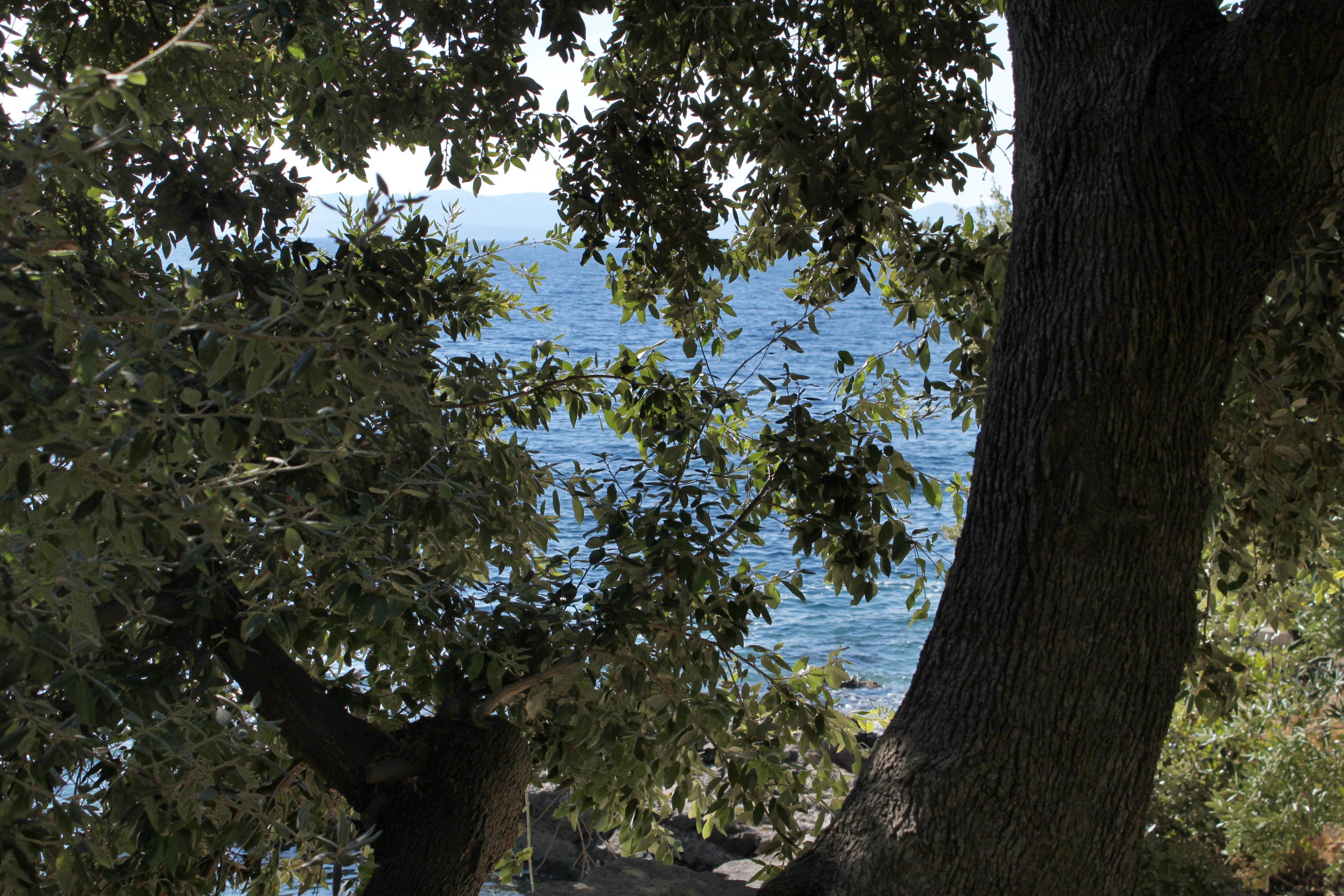 One bedroom apartment near beach Cove Torac, Hvar  A-b
