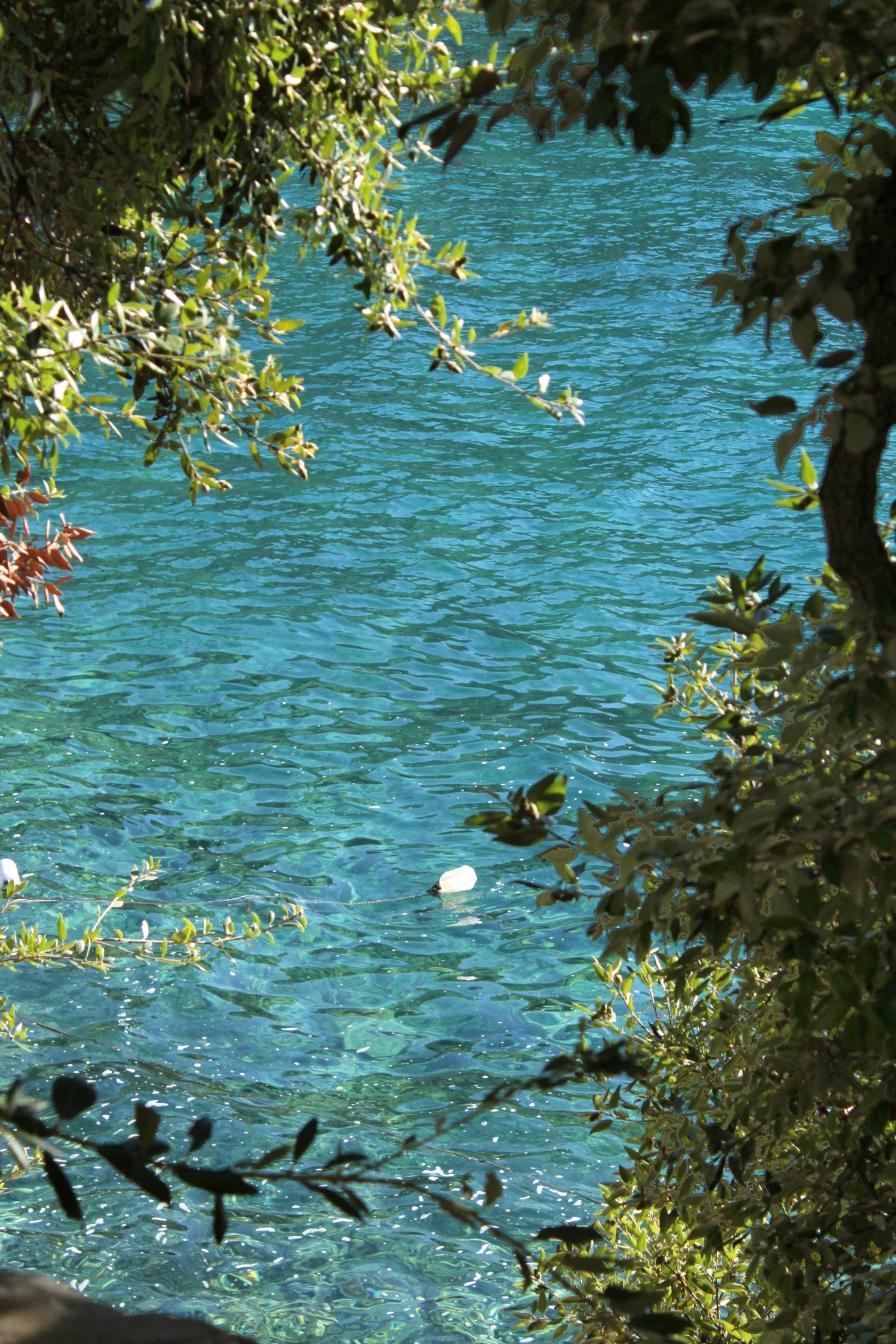 One bedroom apartment near beach Cove Torac, Hvar  A-b