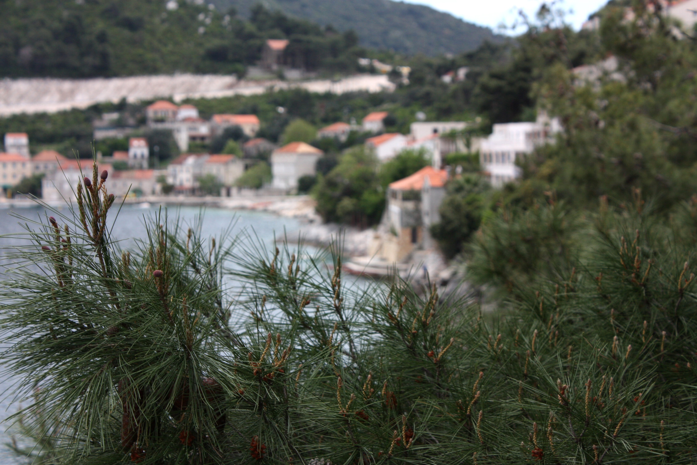 Studio flat with balcony and sea view Sobra, Mljet  AS-a