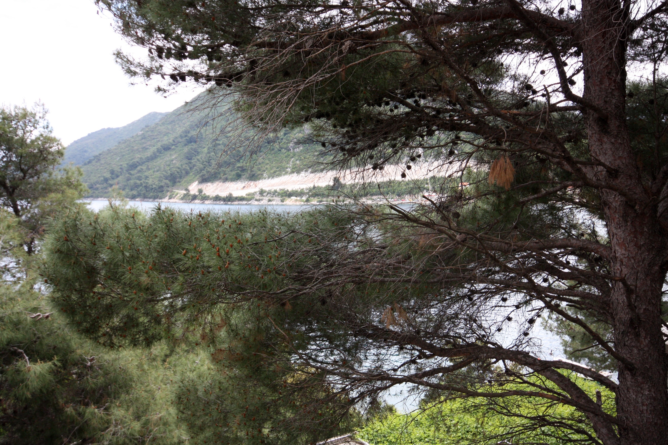 Room with balcony and sea view Sobra, Mljet  S-a
