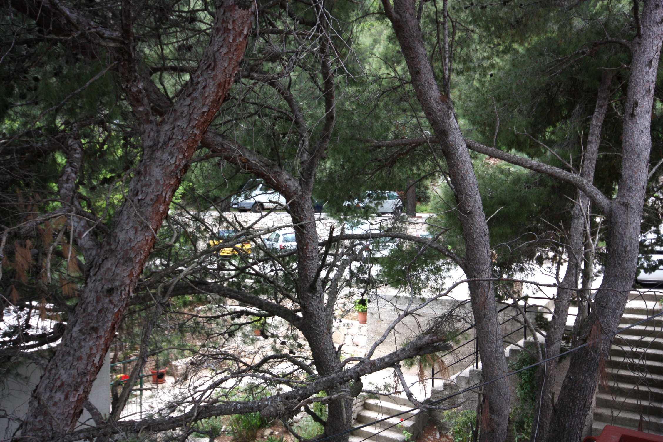 Room with balcony and sea view Sobra, Mljet  S-a