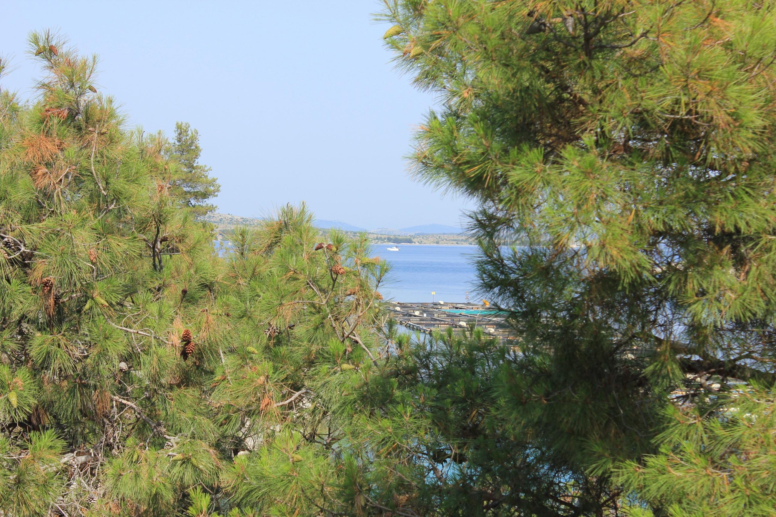 Two bedroom apartment near beach Cove Dumboka, Dugi otok  A-a