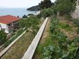 Drvenik Gornja vala, Makarska, Courtyard 4890 - Apartments with pebble beach.