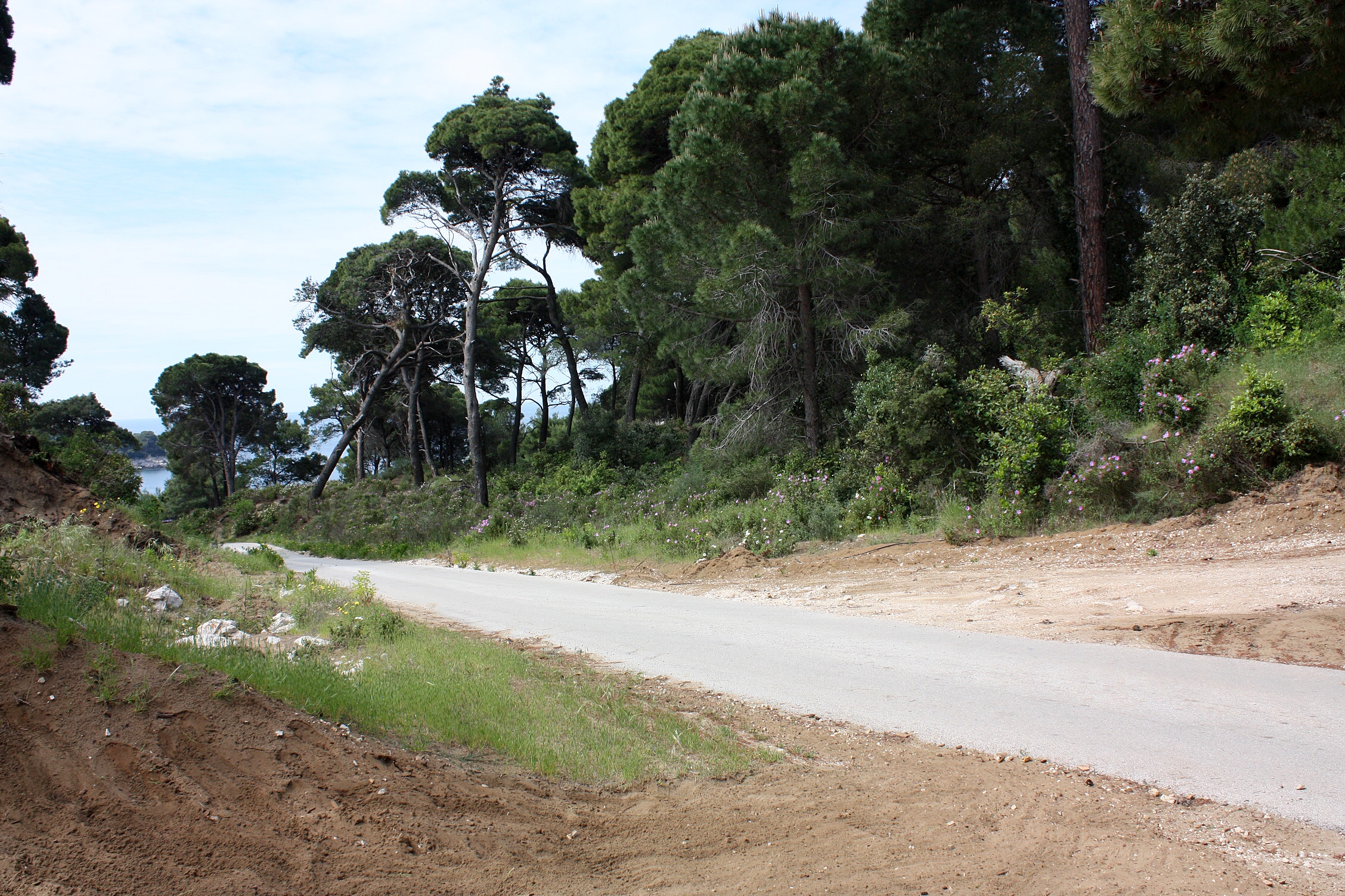 Top Mljet Saplunara Top Mljet Saplunara