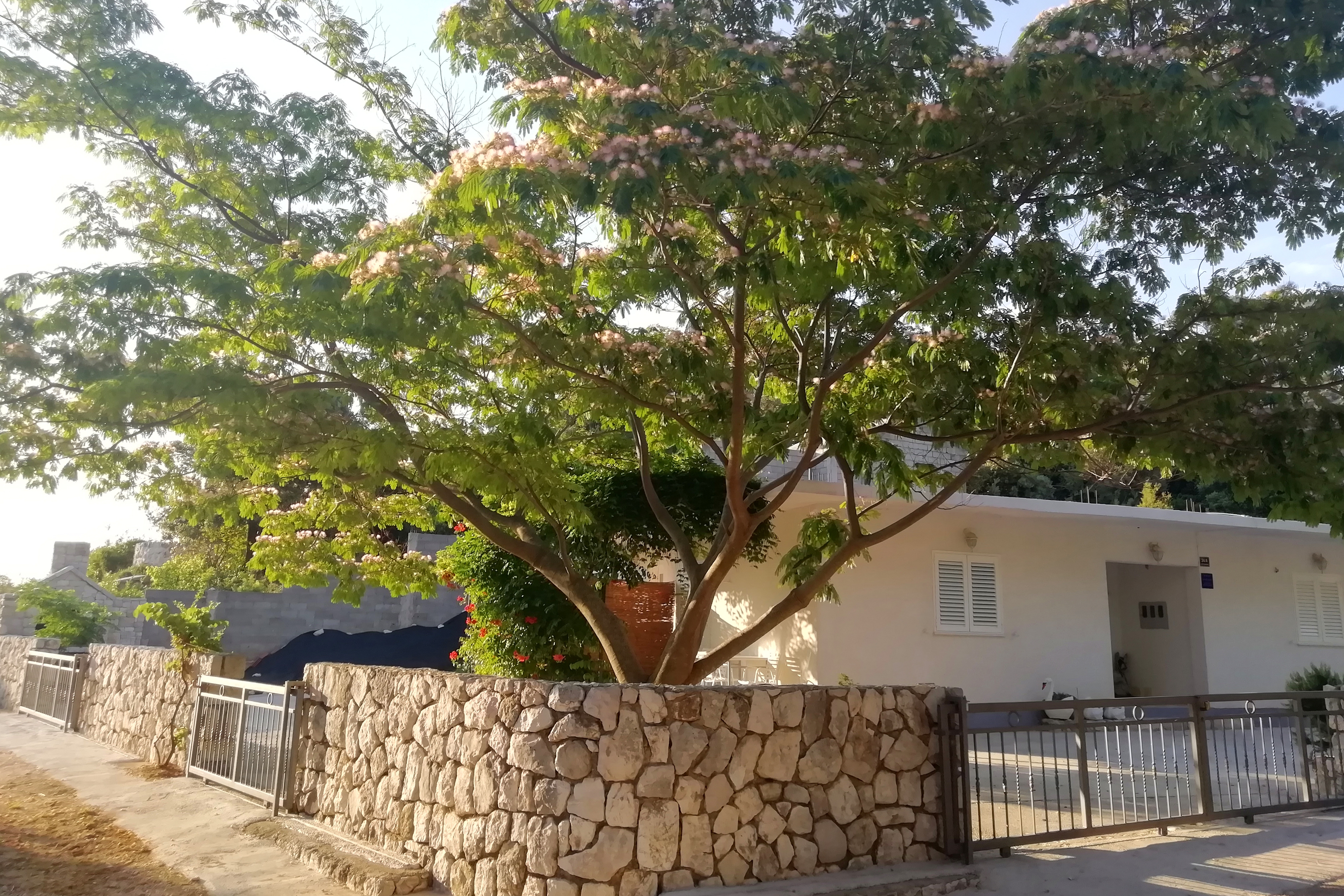 Top Mljet Saplunara Top Mljet Saplunara