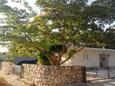Saplunara, Mljet, Property 4896 - Apartments near sea with sandy beach.