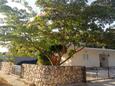 Saplunara, Mljet, Propiedad 4896 - Apartamentos near sea with sandy beach.