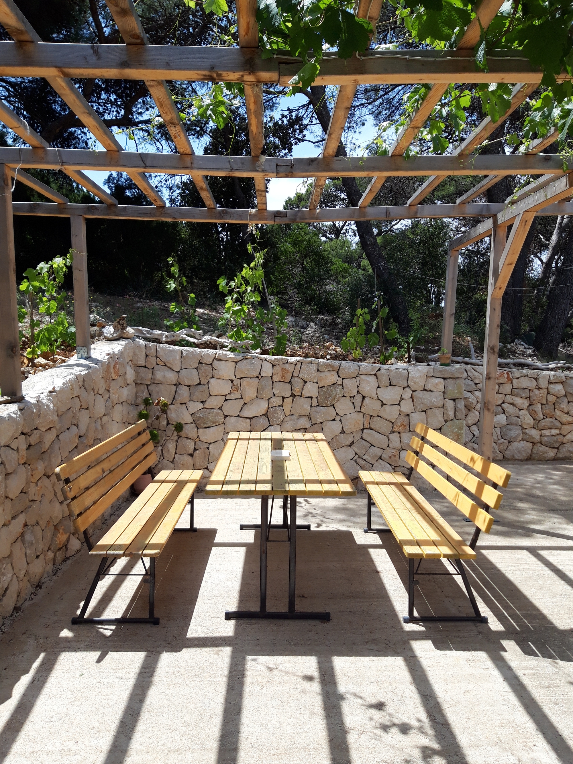 Two bedroom apartment with terrace Cove Blaca, Mljet  A-e