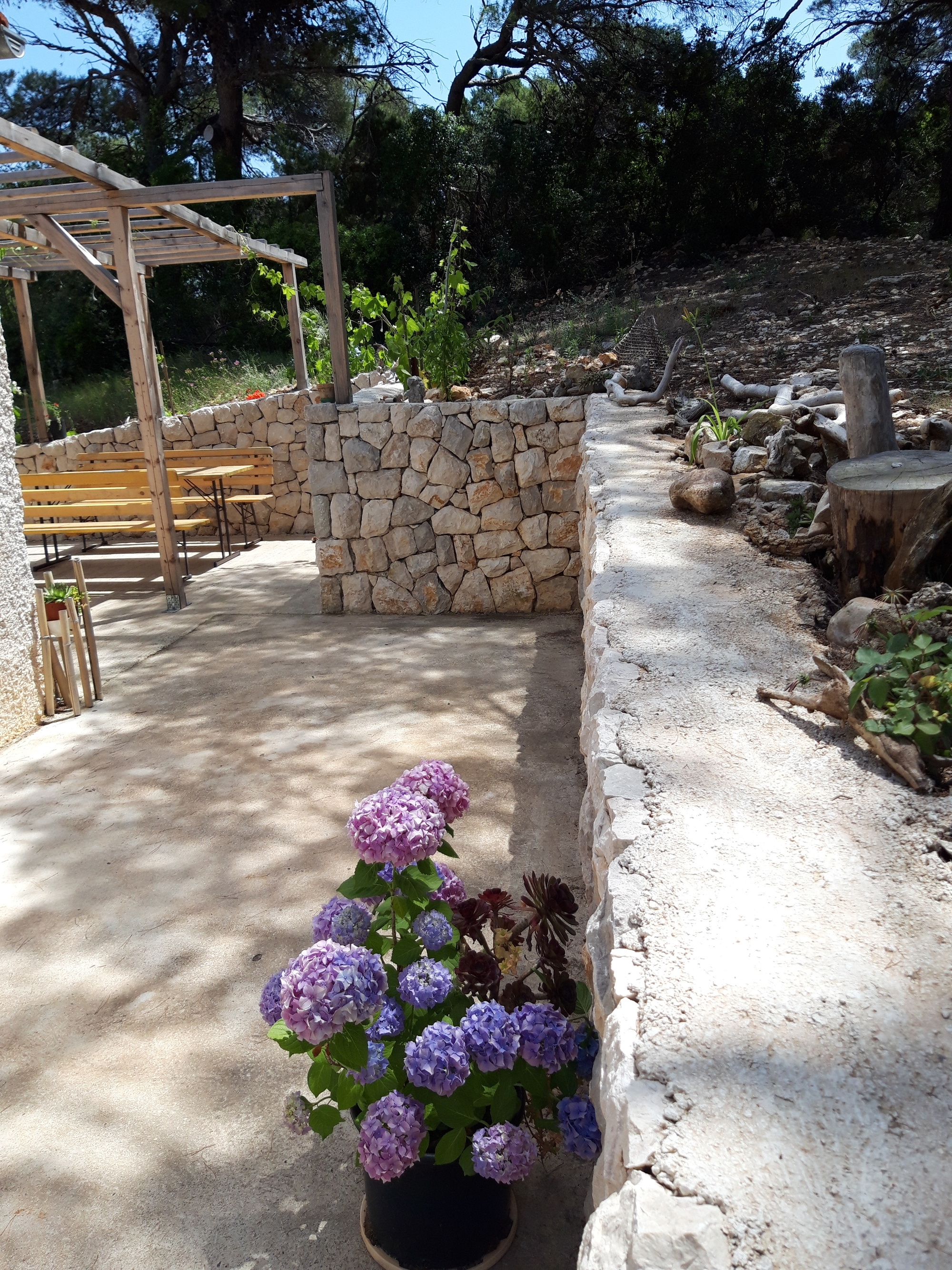 Two bedroom apartment with terrace Cove Blaca, Mljet  A-e