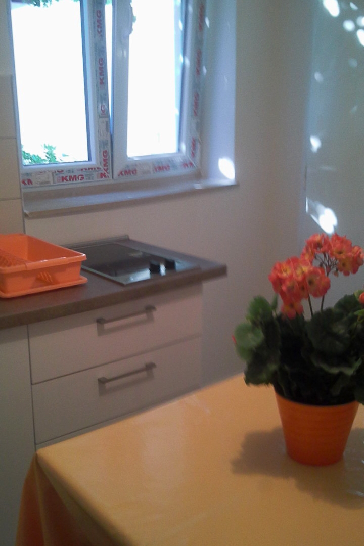 One bedroom apartment near beach Okuklje, Mljet  A-c