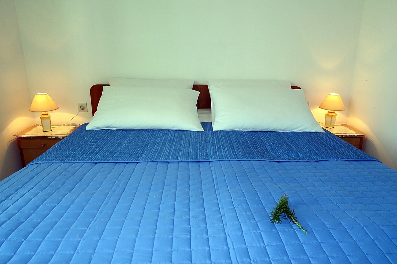 One bedroom apartment near beach Okuklje, Mljet  A-d