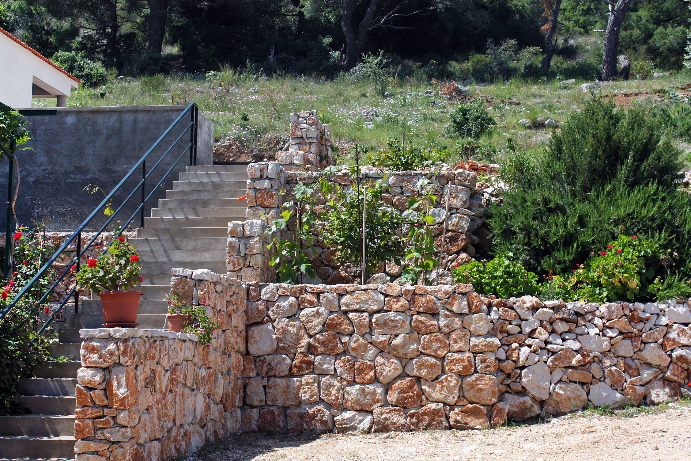 Enosobni apartma Z balkonom Zaliv Saplunara, Mljet  A-a