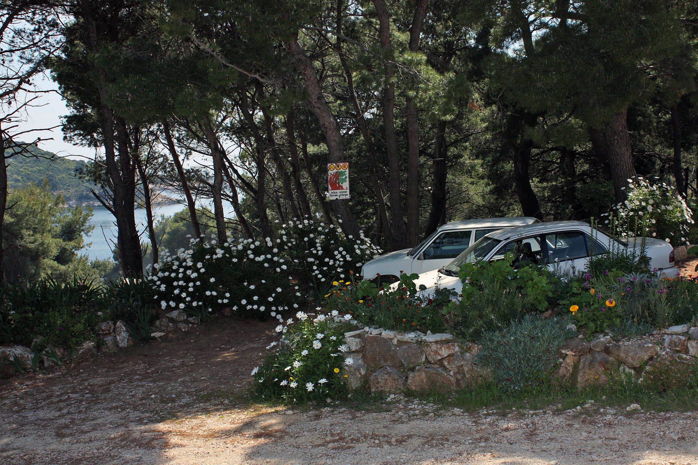 Enosobni apartma Z balkonom Zaliv Saplunara, Mljet  A-a