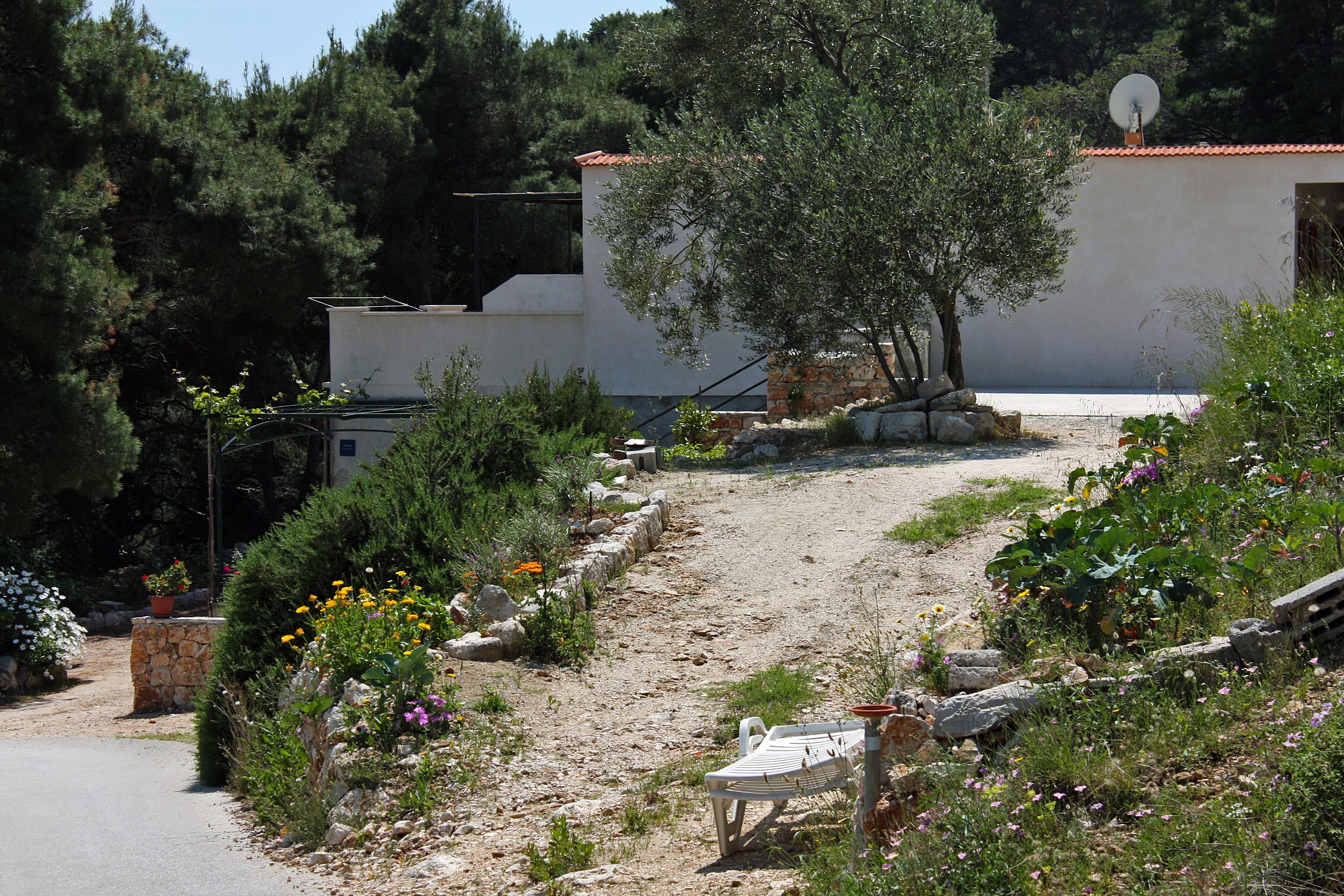 Enosobni apartma Z balkonom Zaliv Saplunara, Mljet  A-a