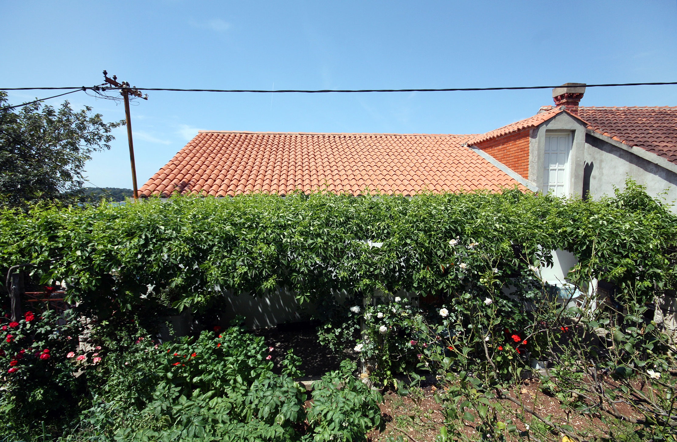 Top Mljet Pomena Top Mljet Pomena