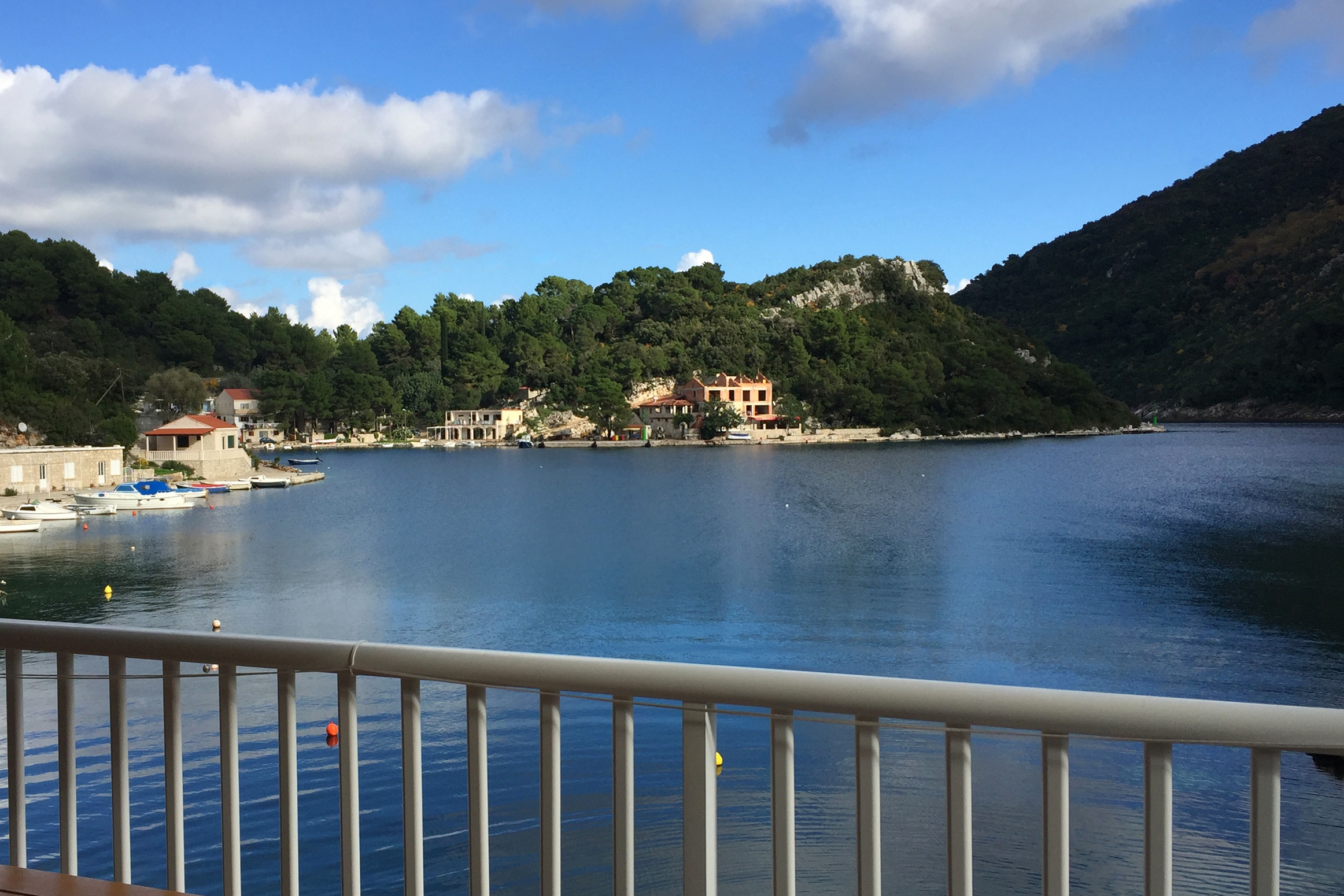 Two bedroom apartment near beach Okuklje, Mljet  A-b