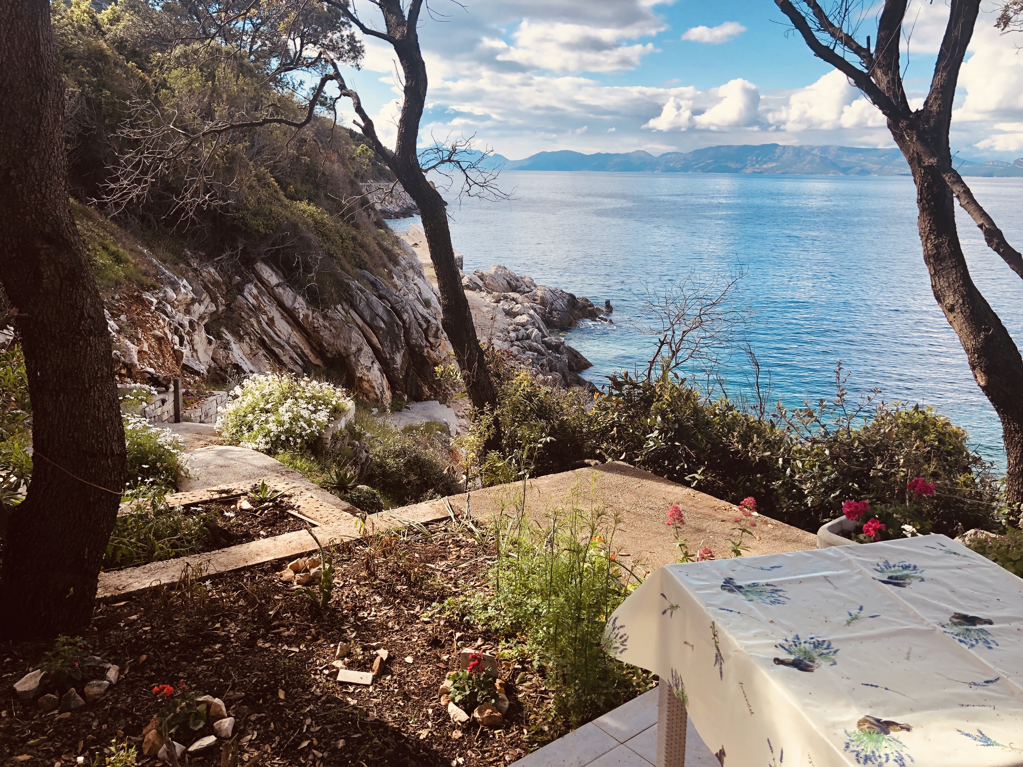 One bedroom apartment near beach Kozarica, Mljet  A-d