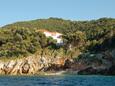 Szálláshely Kozarica, Mljet, Szálláshely 4950 - Apartmanok a tenger közelében köves stranddal.