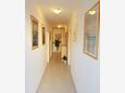 Barbat, Hallway in the apartment, WiFi.