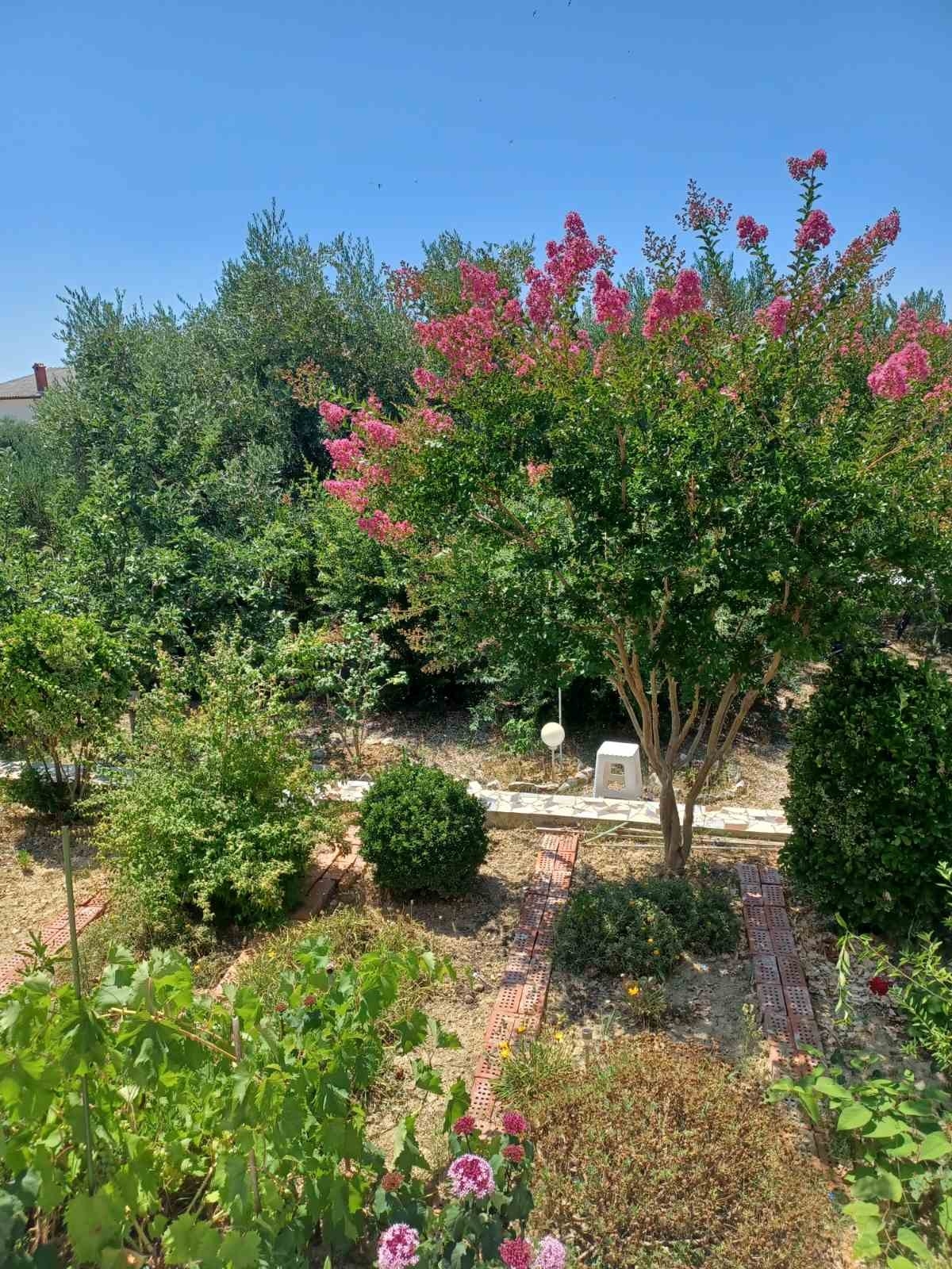 Two bedroom apartment with terrace Banjol, Rab  A-a
