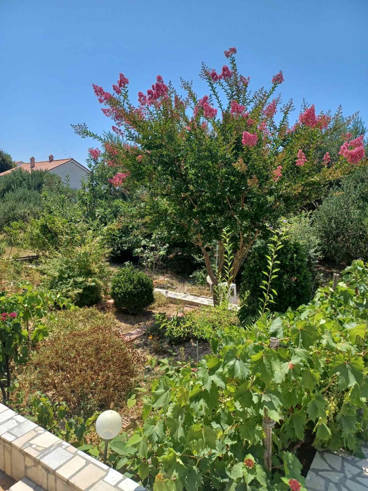Two bedroom apartment with terrace Banjol, Rab  A-a