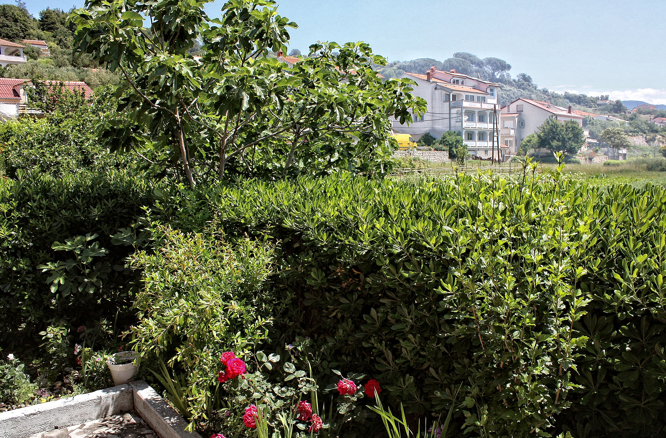 One bedroom apartment with terrace and sea view Kampor, Rab  A-a