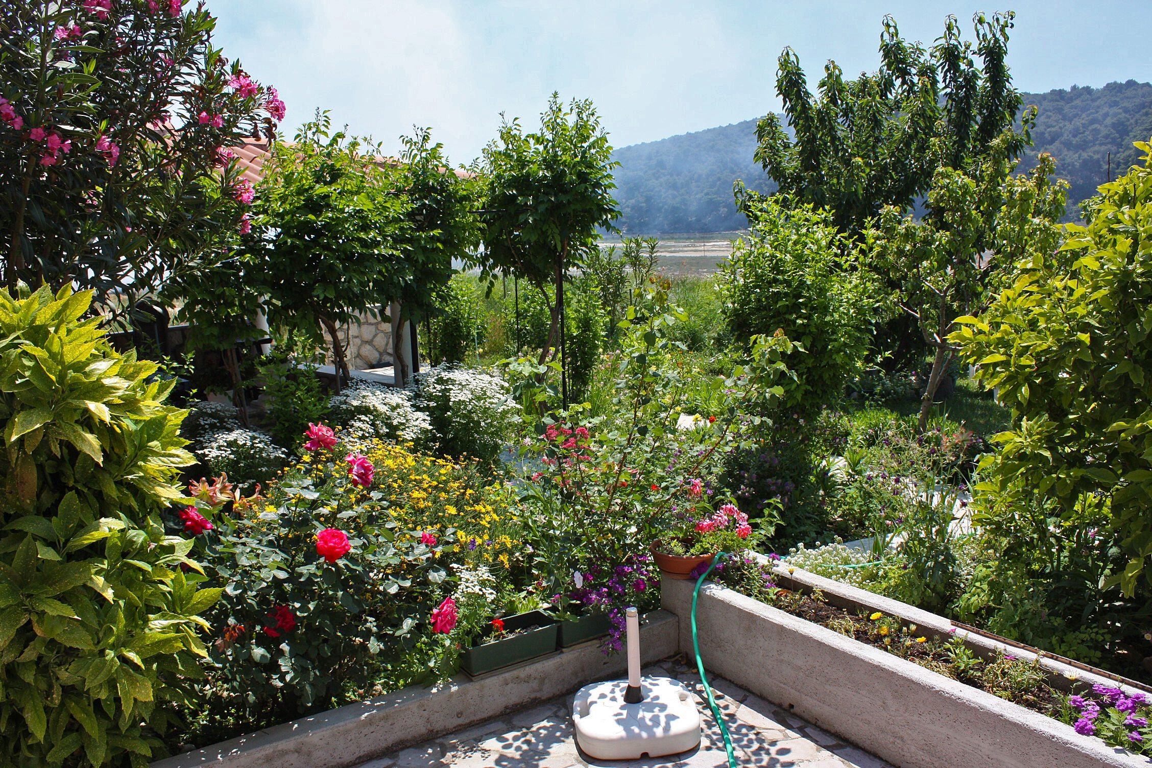 One bedroom apartment with terrace and sea view Kampor, Rab (A-4972-a) One bedroom apartment with terrace and sea view Kampor, Rab (A-4972-a)