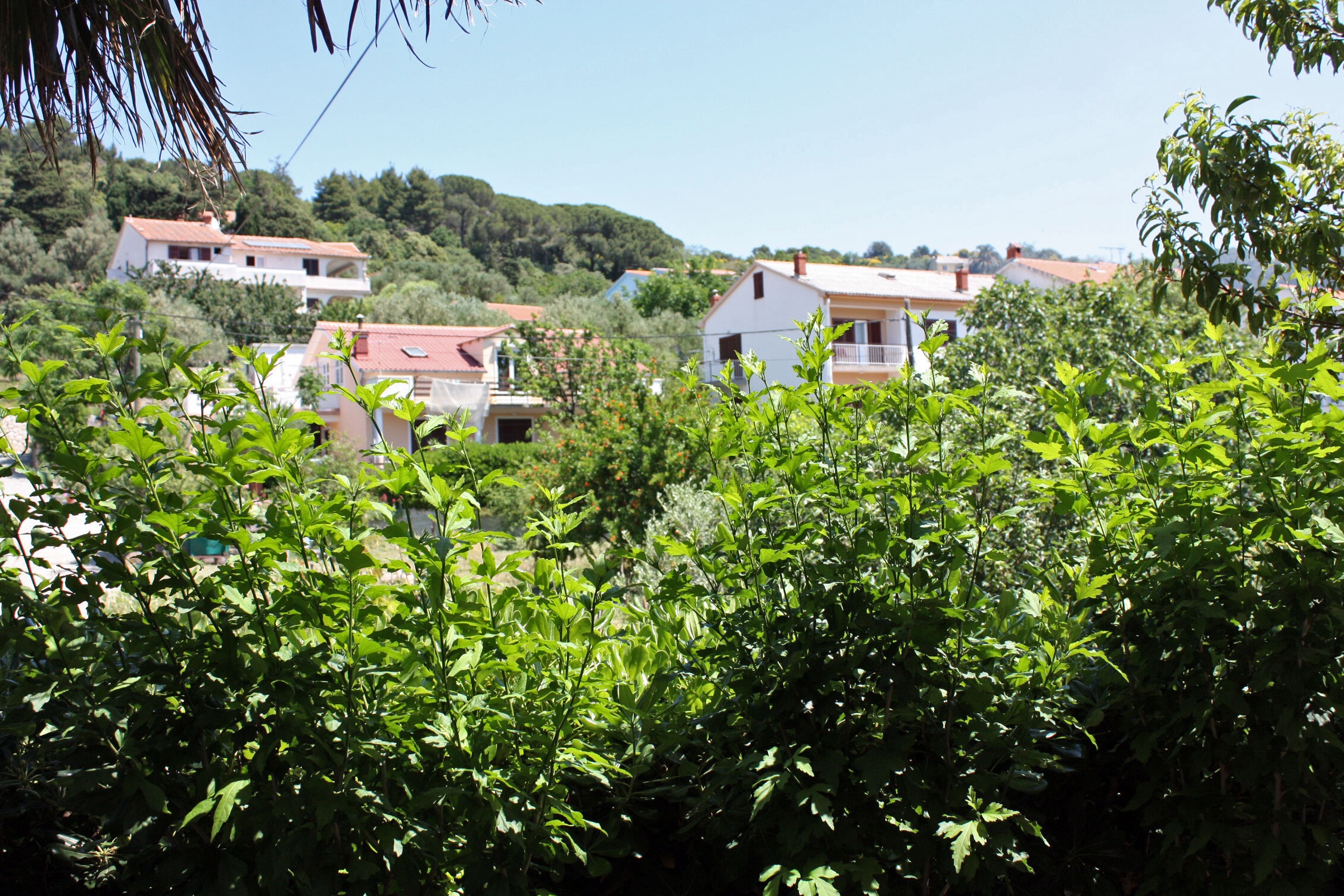 One bedroom apartment with terrace and sea view Kampor, Rab  A-b
