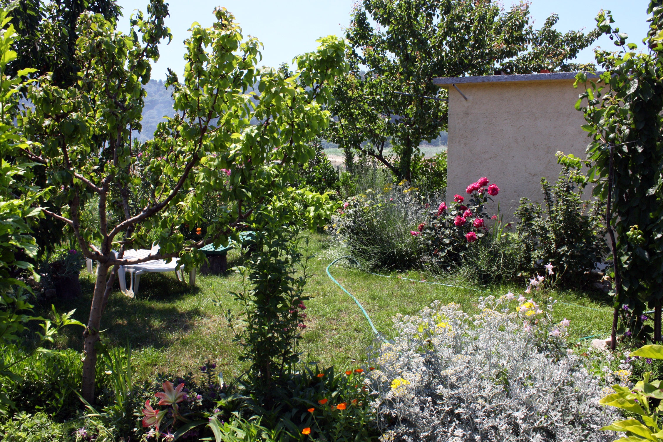 One bedroom apartment with terrace and sea view Kampor, Rab (A-4972-b) One bedroom apartment with terrace and sea view Kampor, Rab (A-4972-b)