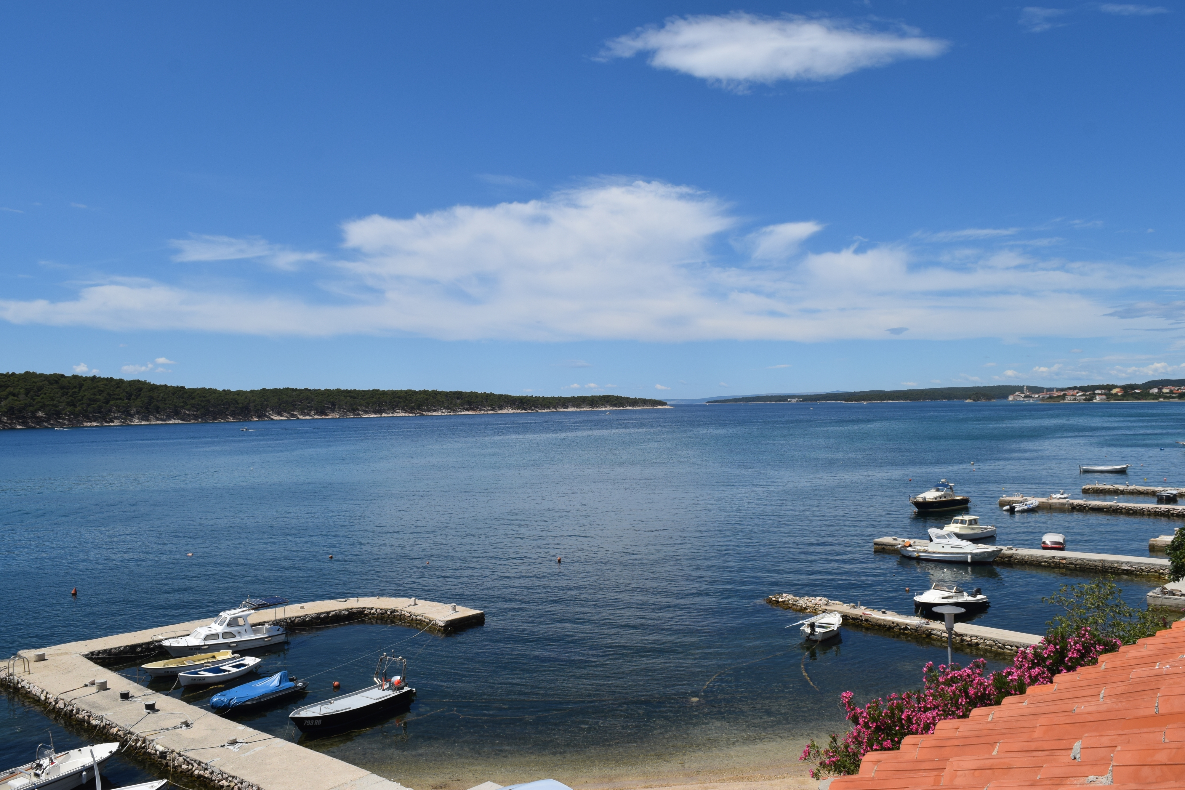 Three bedroom apartment near beach Barbat, Rab  A-a