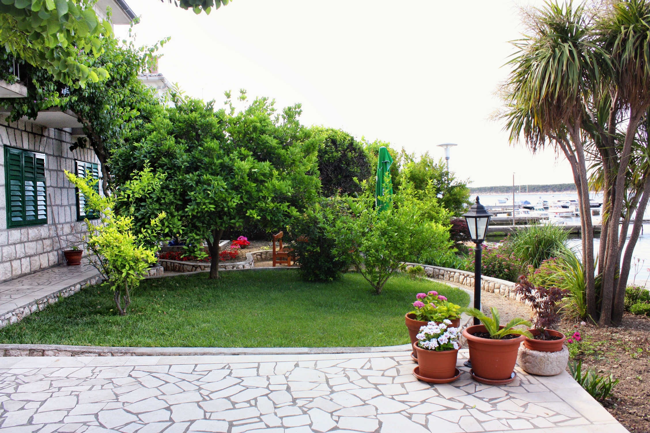 Top Rab Barbat Top Rab Barbat