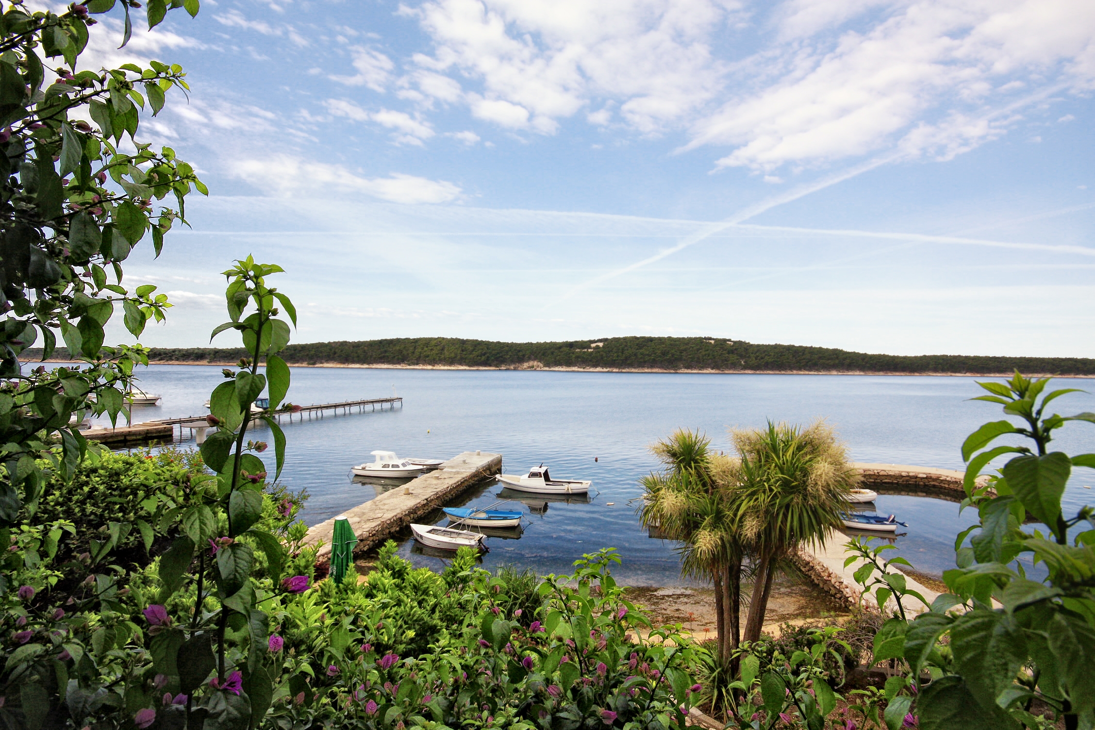 Top Rab Barbat Top Rab Barbat