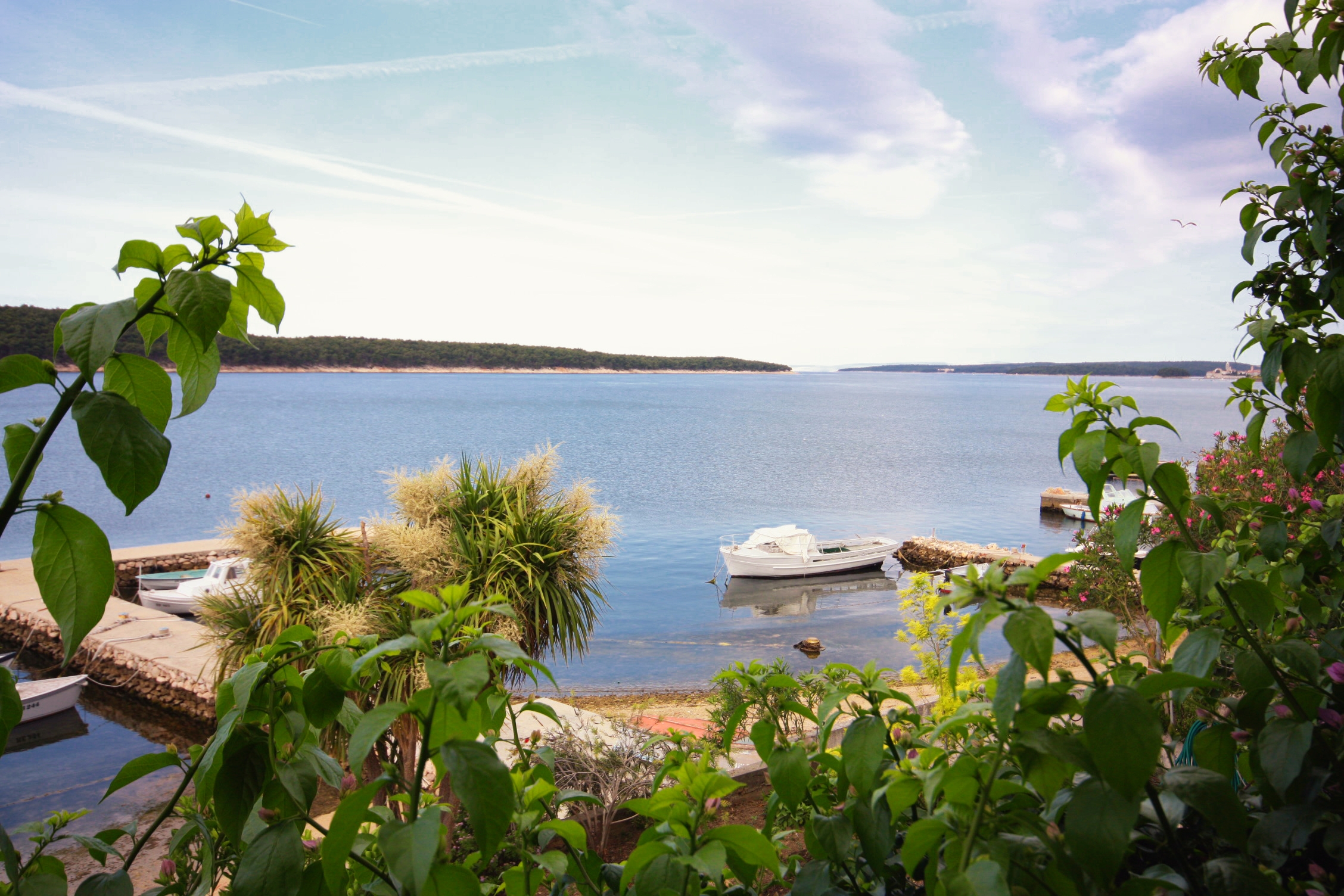 Room near beach Barbat, Rab (S-4973-b) Room near beach Barbat, Rab (S-4973-b)