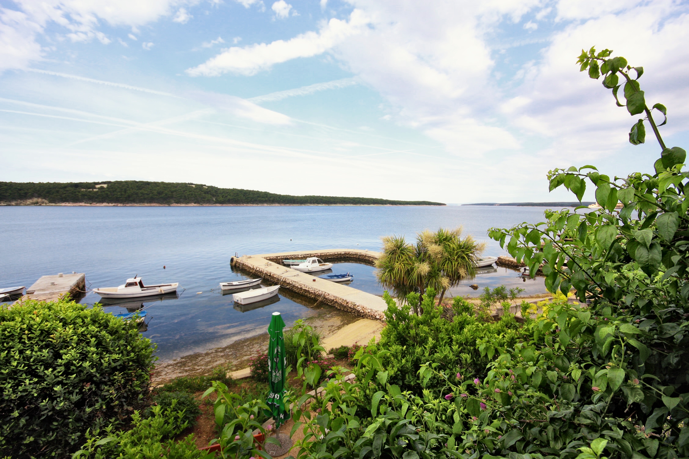 Top Rab Barbat Top Rab Barbat