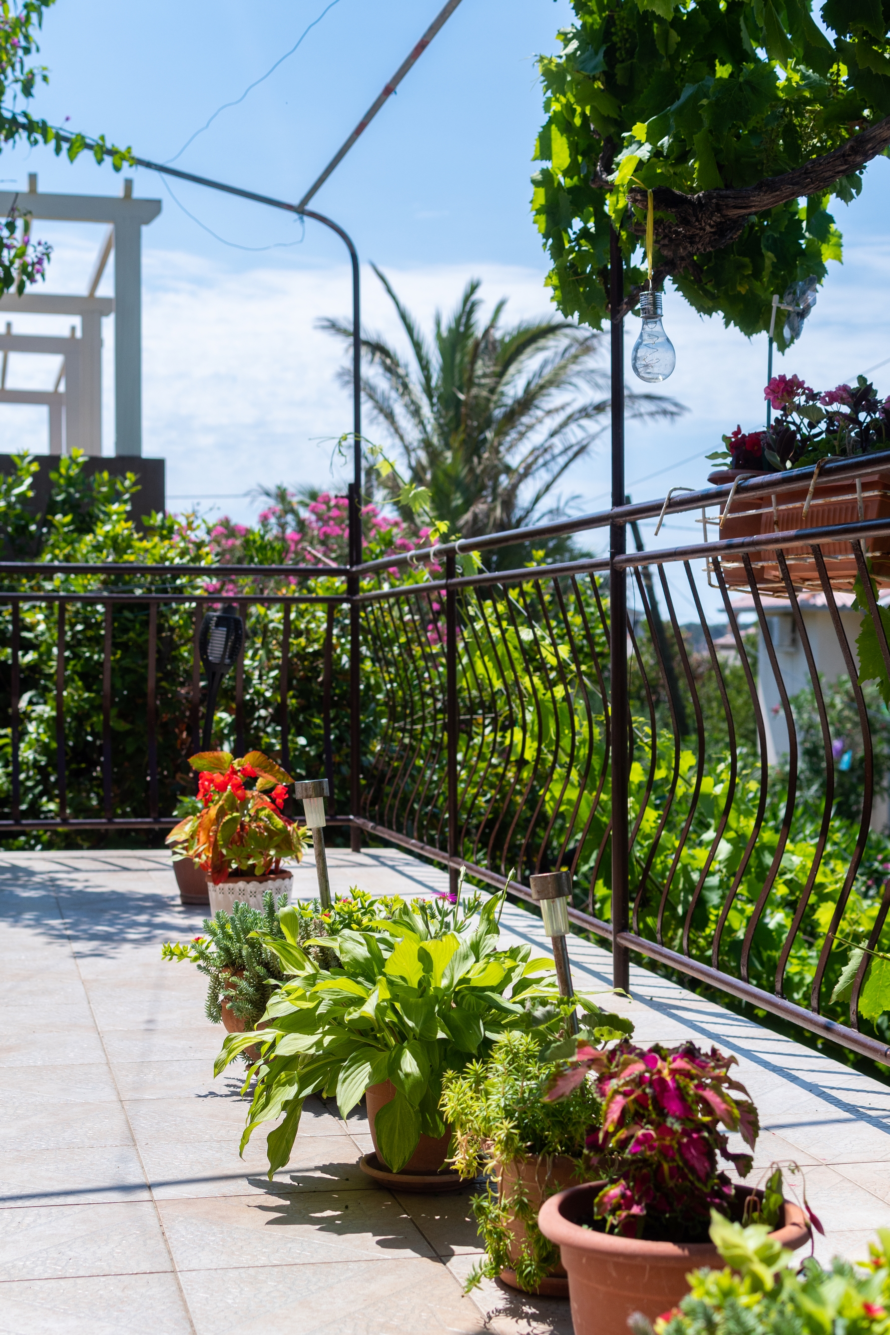 Two bedroom apartment with terrace Barbat, Rab  A-a